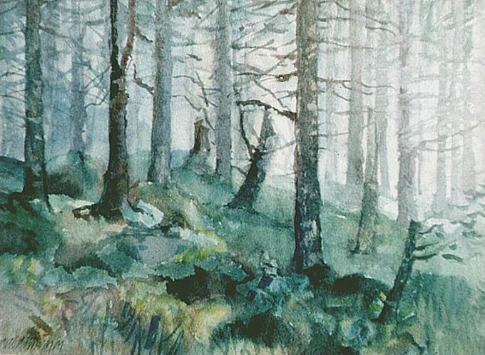 Tatranský les, 2000, akvarel, 20x30 cm